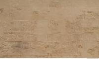 Photo Texture of Hatshepsut 0111